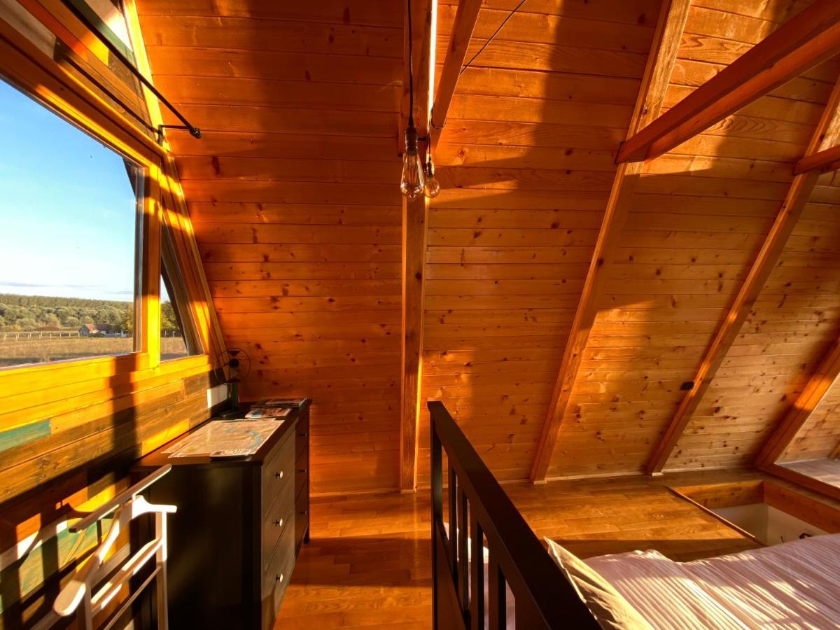 Petrovaradin Chalet Nowy Sad Zewnętrze zdjęcie