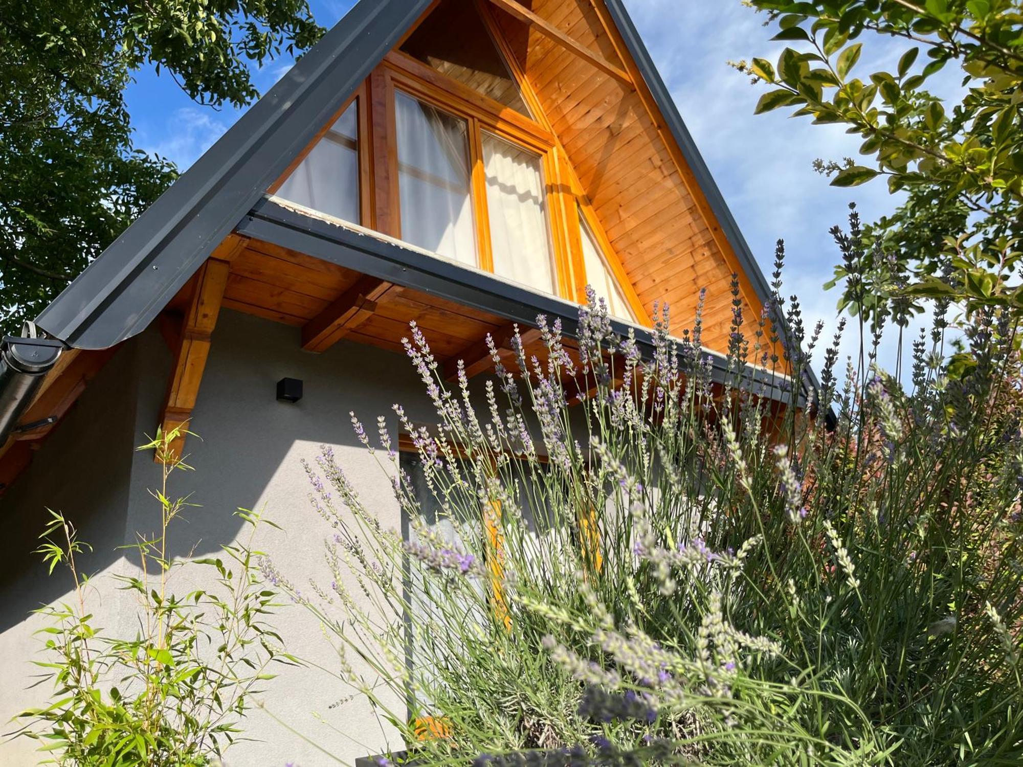 Petrovaradin Chalet Nowy Sad Zewnętrze zdjęcie